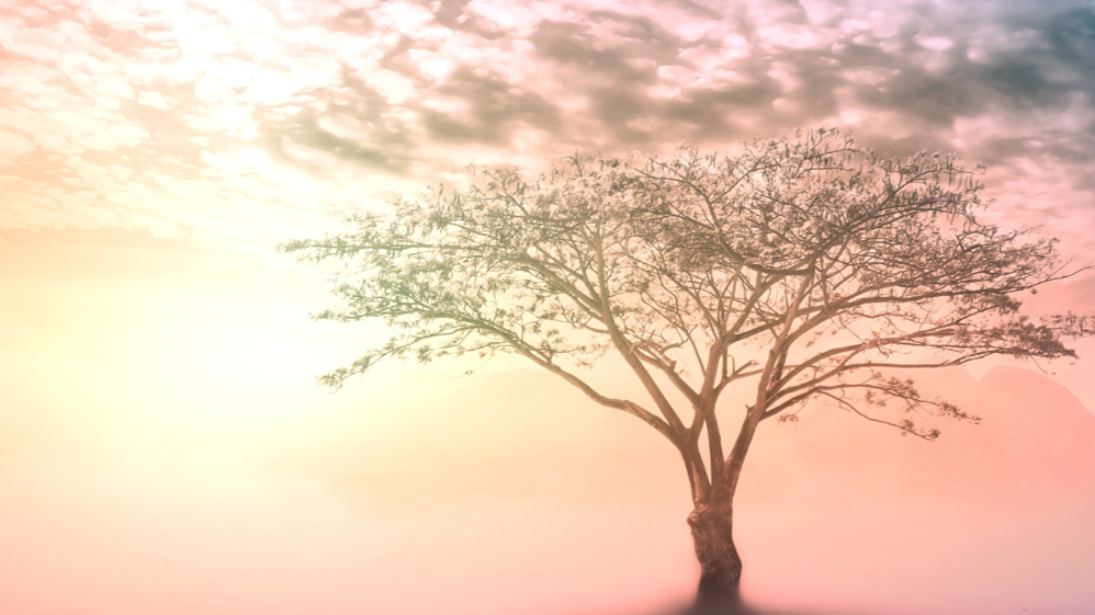 Wind Down With Uniper: Relaxing Music