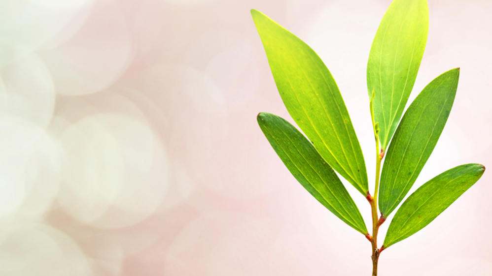 Wind Down with Uniper: Soothing Sounds