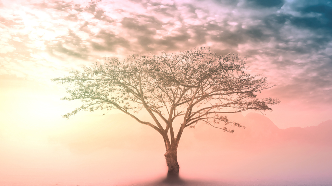 Wind Down with Uniper: Relaxing Music