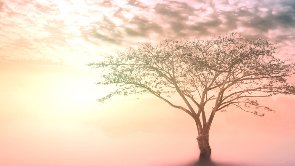 Wind Down with Uniper: Nature Sounds